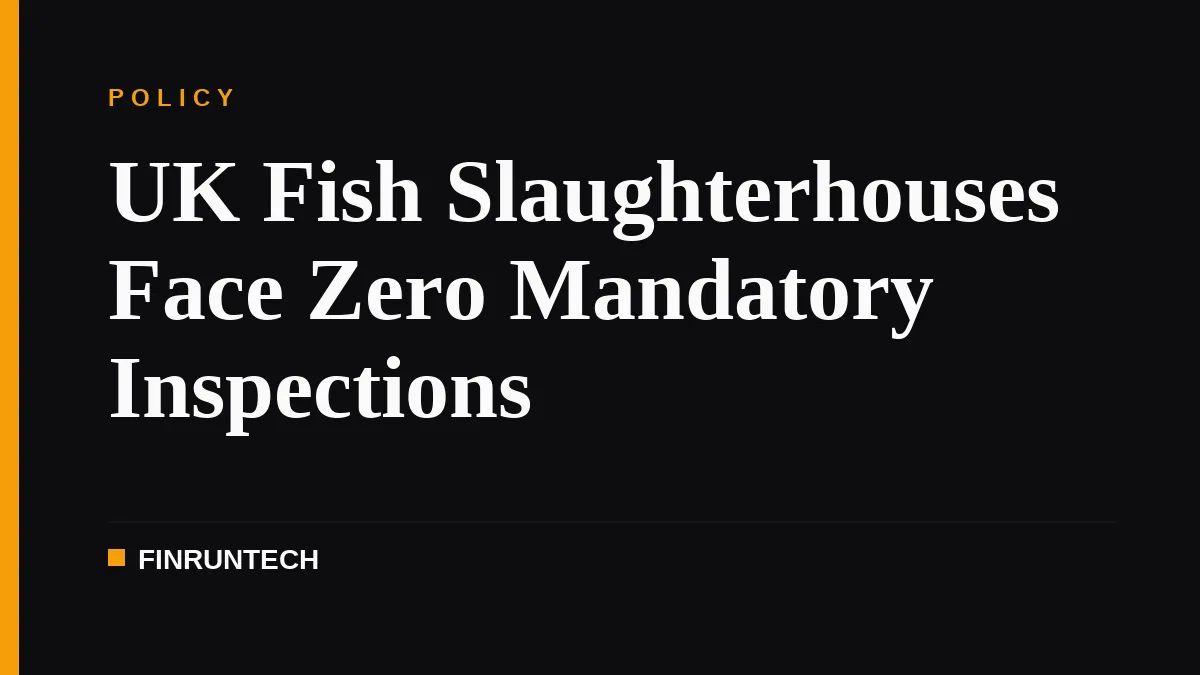UK Fish Slaughterhouses Face Zero Mandatory Inspections