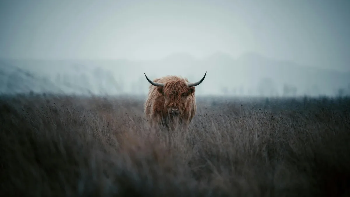 Bitcoin Posts 44% Q3 Gain, Signaling Potential Crypto Bull Run