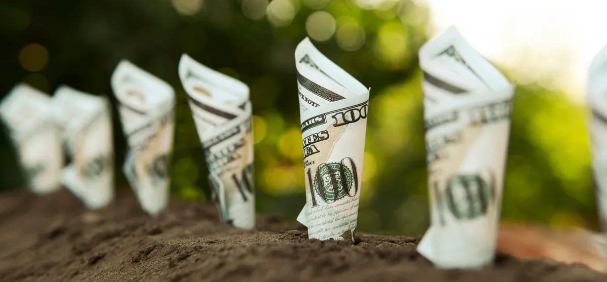 One Vanguard ETF to Buy If the Stock Market Crashes
