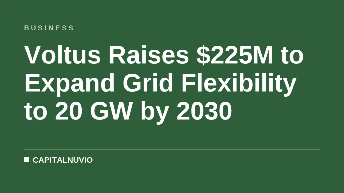 Voltus Raises $225M to Expand Grid Flexibility to 20 GW by 2030