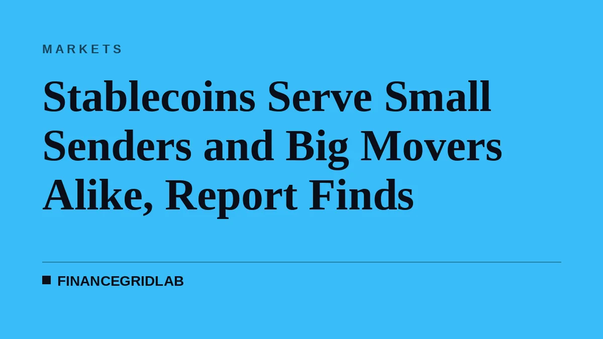 Stablecoins Serve Small Senders and Big Movers Alike, Report Finds