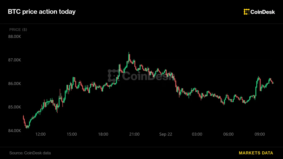 Bitcoin Bounces Back as Falling Oil Boosts Risk Appetite