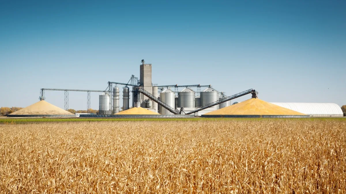 Farmer's Loan Against Corn Triggers Social Security Income Tax